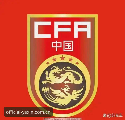 2030世界杯扩军66队完整指南：亚新体育平台带你解析中国男足的新机遇与挑战